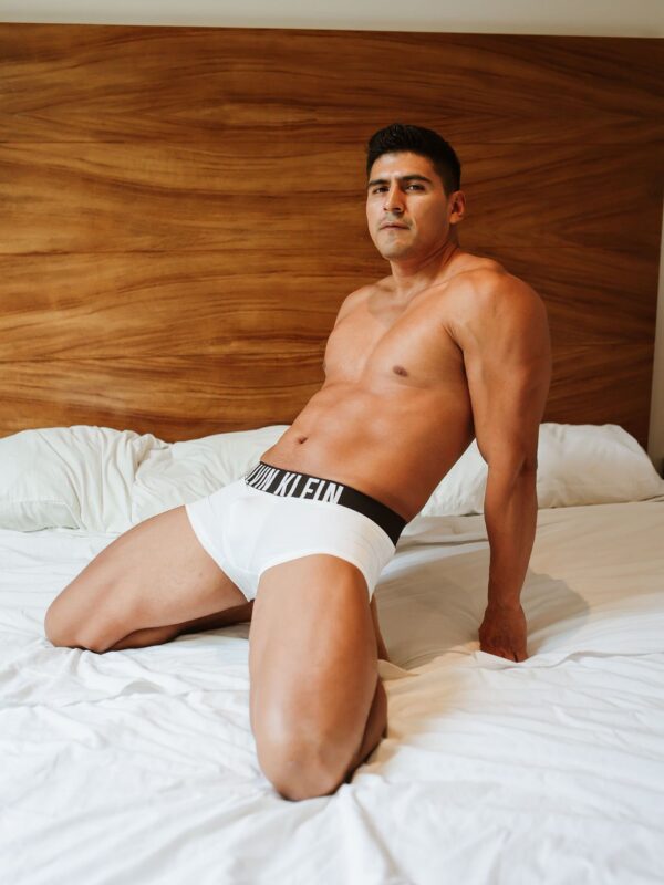 Mexican gay porn performer David Belher