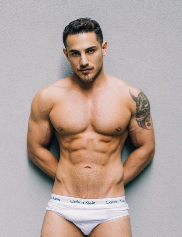 DomWolf