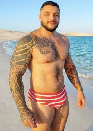 Brazilian gay porn performer Will Contratesi